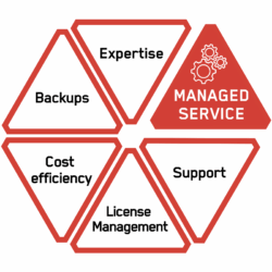 Beitragsbild MANAGED SERVICE (1)