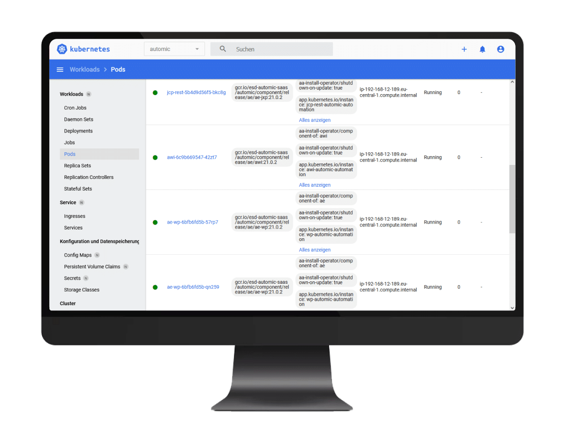 Standard Kubernetes Dashboard Standard Kubernetes Dashboard